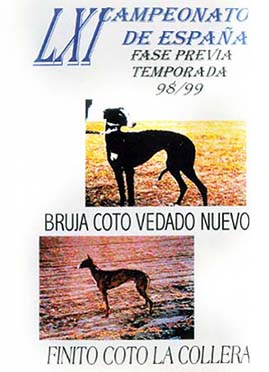 LXI REGIONAL 98-99 FINA DVD